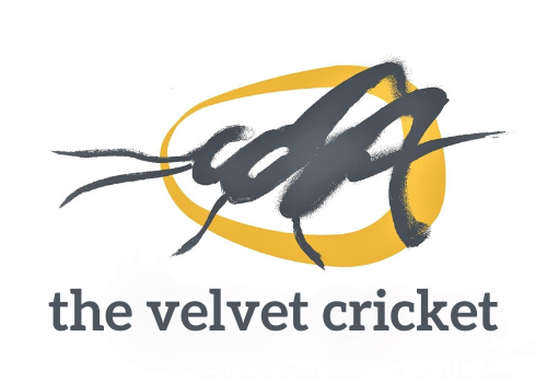 Velvet Cricket Logo